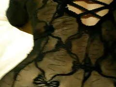 trans tettone